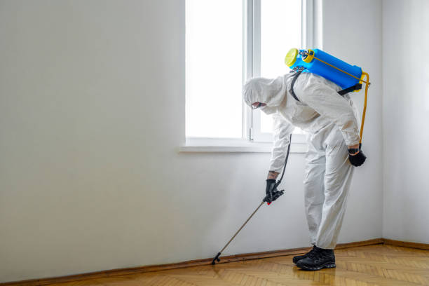 Best Best Pest Control Companies  in Kraemer, LA