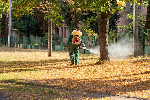 Best Local Pest Control Services  in Kraemer, LA