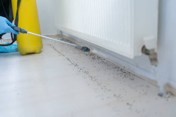 Best Residential Pest Control  in Kraemer, LA