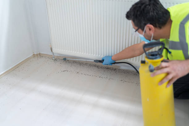 Best Pest Prevention Services  in Kraemer, LA