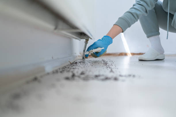 Best Flea Control Services  in Kraemer, LA
