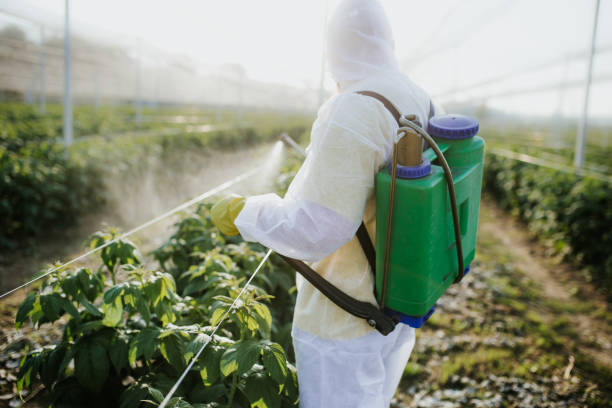 Best Wildlife Control Services  in Kraemer, LA